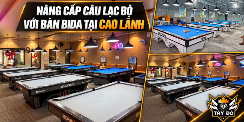 Nâng Cấp Câu Lạc Bộ Với Các Mẫu Bàn Bida Tại Cao Lãnh